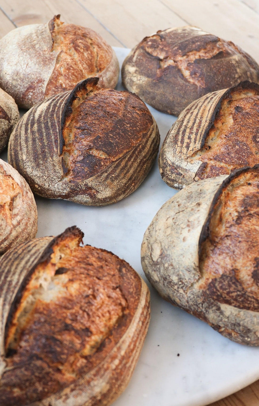 Mit diesem einfachen Brotrezept backst du schnell und ohne großen Aufwand leckeres Brot  - und du musst nicht mal kneten! - BERRY